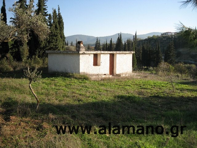 Το καλυβάκι του Παναγιώτη Ι.Βερβενιώτης στη Λούτσα